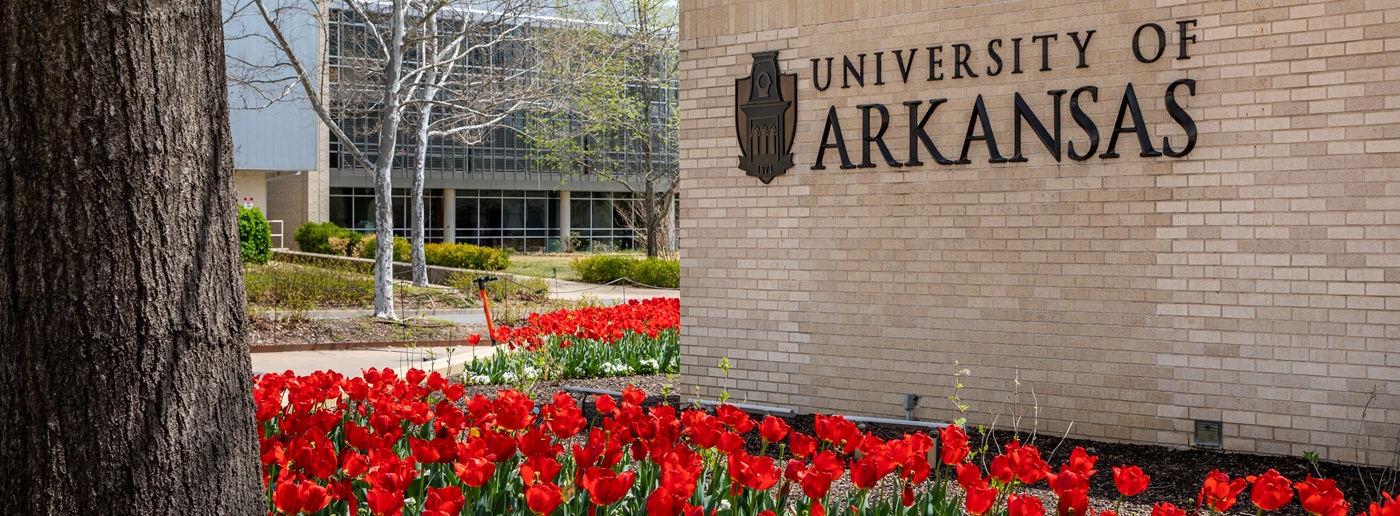 University of Arkansas campus