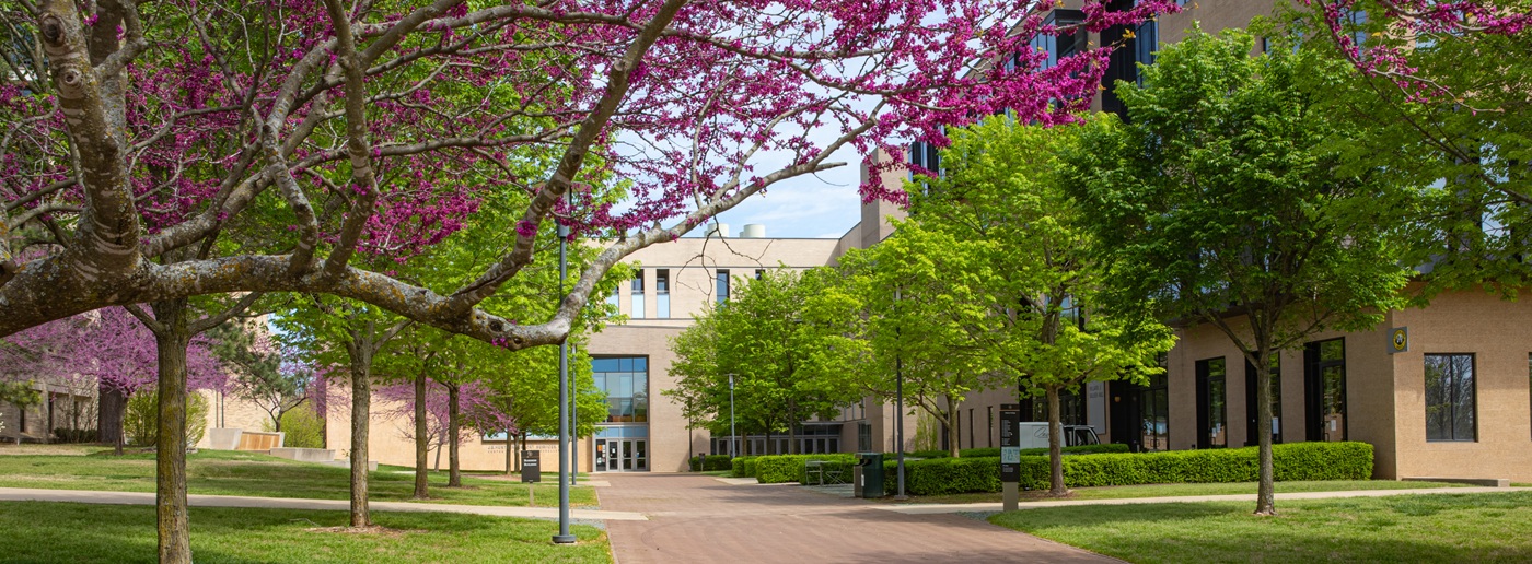 University of Arkansas campus
